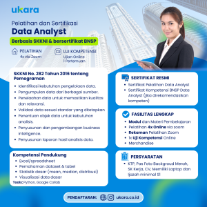 Data Analyst