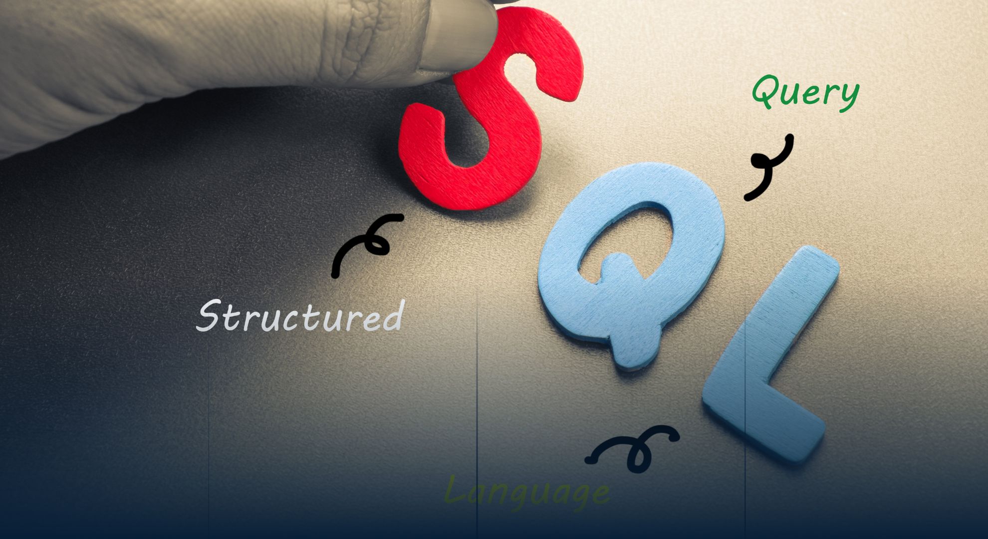 Ini Alasan Mengapa Kamu Harus Mempelajari SQL Untuk Menjadi Data Scientist