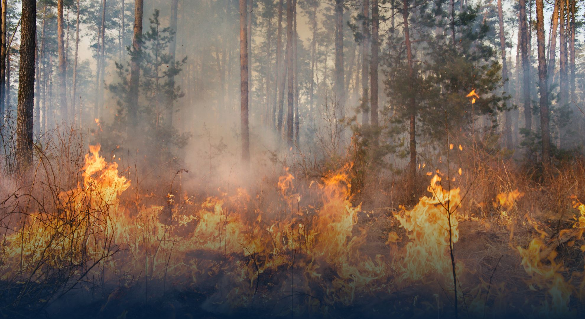 Prosedur Tanggap Darurat Kebakaran dan Bencana Alam