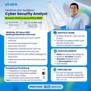 Cyber Security Analyst