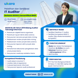 IT Auditor